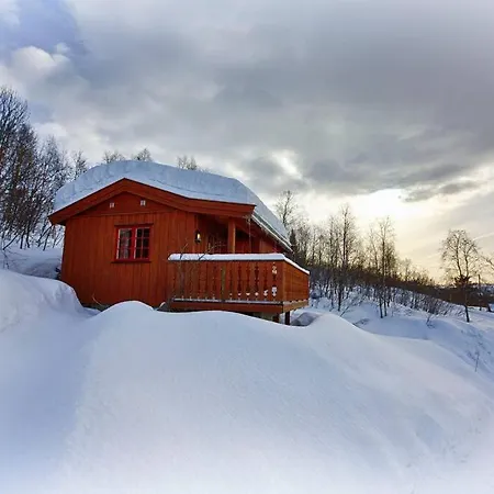 Kvetos Fjellhytte Holiday home Beitostolen